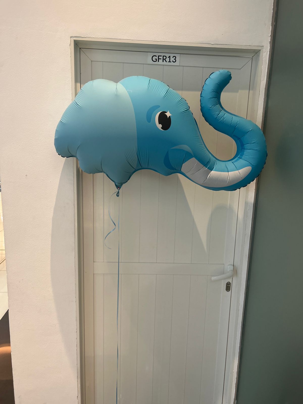 Cute blue baby elephant-Jungle